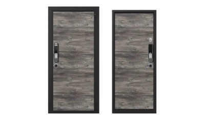 Дверь входная Portalle Electra Biometric