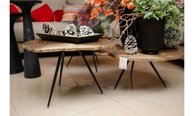 Комплект кофейных столов Eichholtz