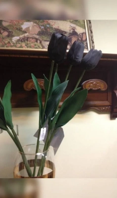 Тюльпан OAKOM