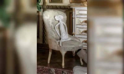 Кресло Asnaghi Interiors Bambino