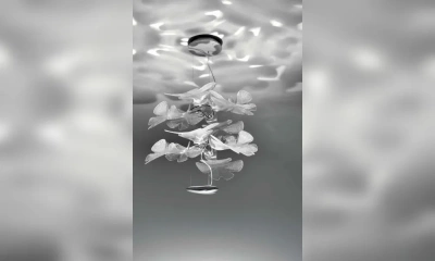 Artemide Chlorophilia 2 Люстра