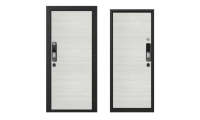 Дверь входная Portalle Electra Biometric