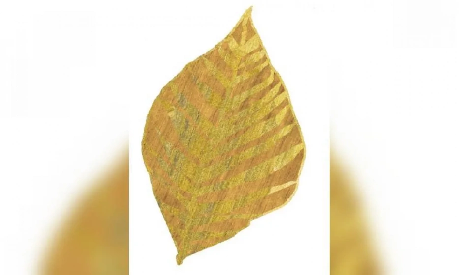 Ковер Sartori Celebrity - фото 1