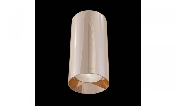 Потолочный Светильник Technical C010Cl-01Rg