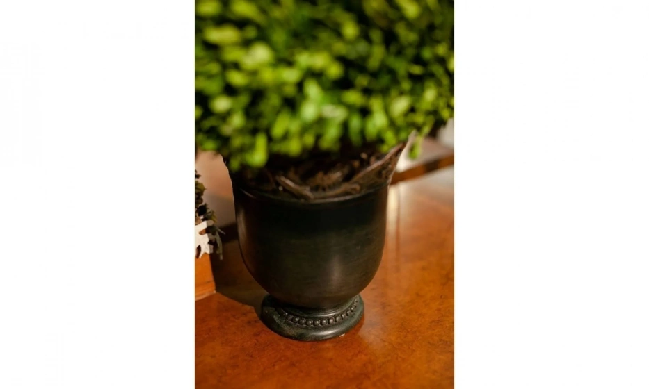 Цветы Uttermost Preserved Boxwood - фото 3