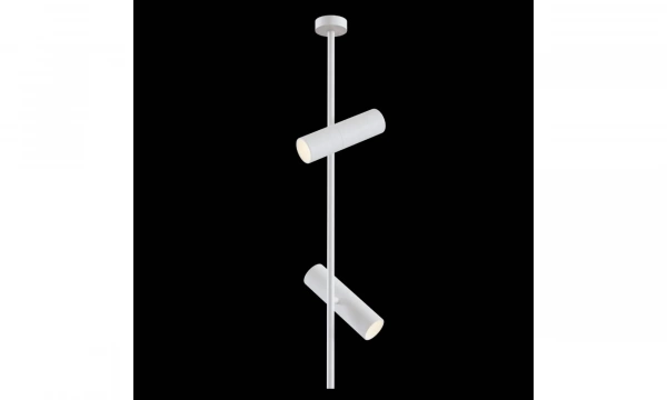 Потолочный Светильник Technical C021Cl-02W