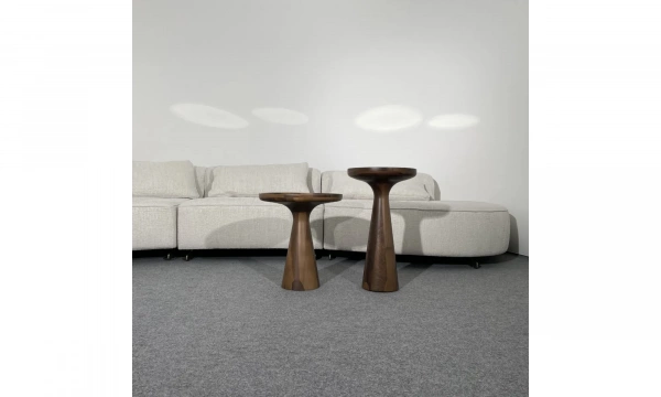 Кофейный столик низкий Homage Wood