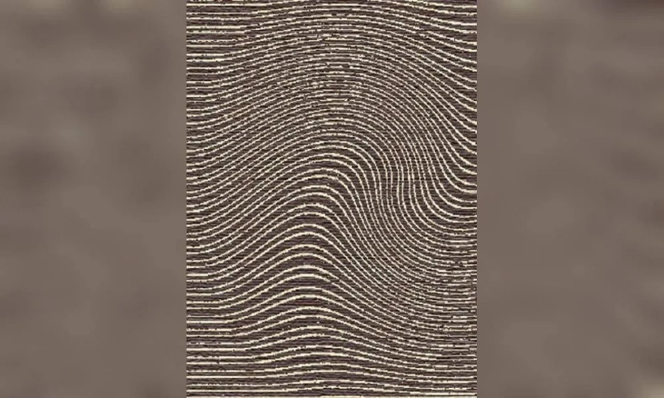 Ковер Sartori C Pesaro - фото 1